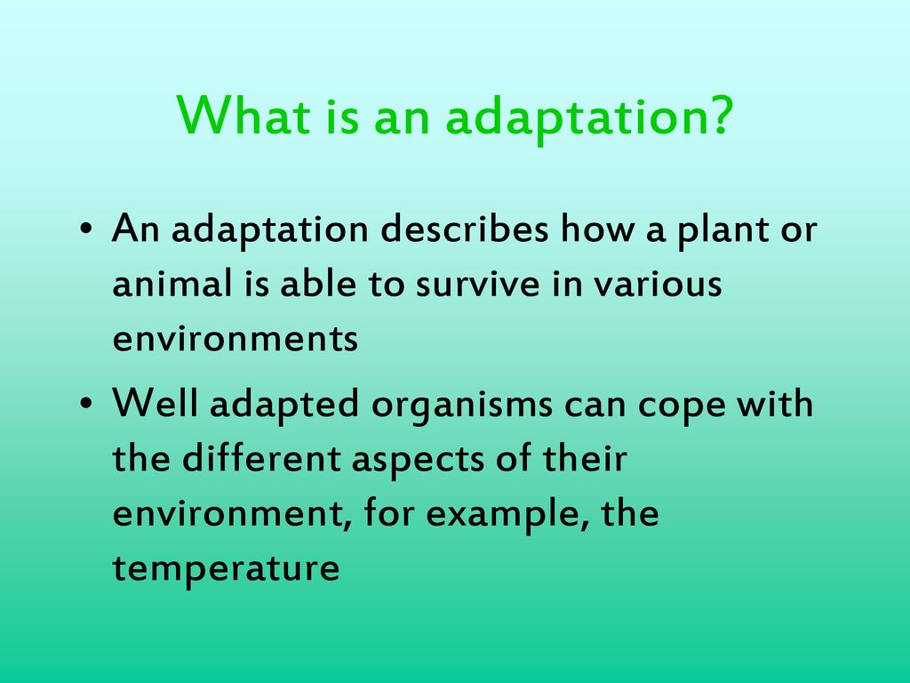 What is adaptation outlet